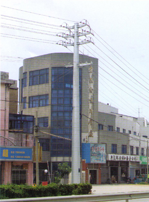 电力杆 DLG-003