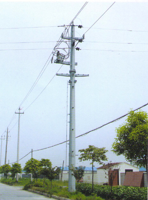 电力杆 DLG-004